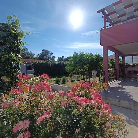 Apartman Brigita Daire Biograd Na Moru Dış mekan fotoğraf