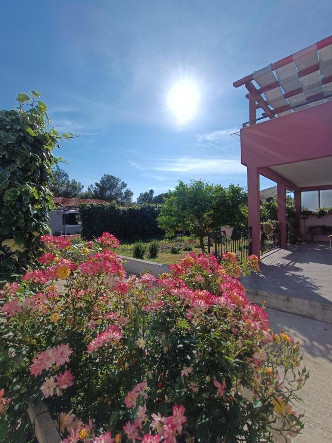 Apartman Brigita Daire Biograd Na Moru Dış mekan fotoğraf