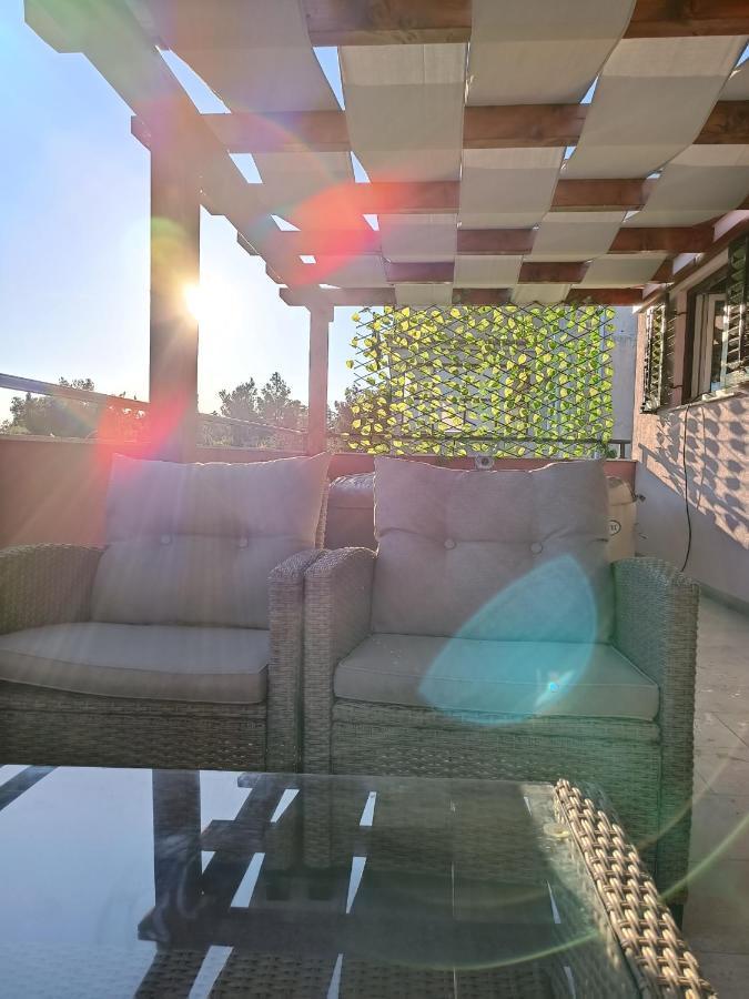 Apartman Brigita Daire Biograd Na Moru Dış mekan fotoğraf