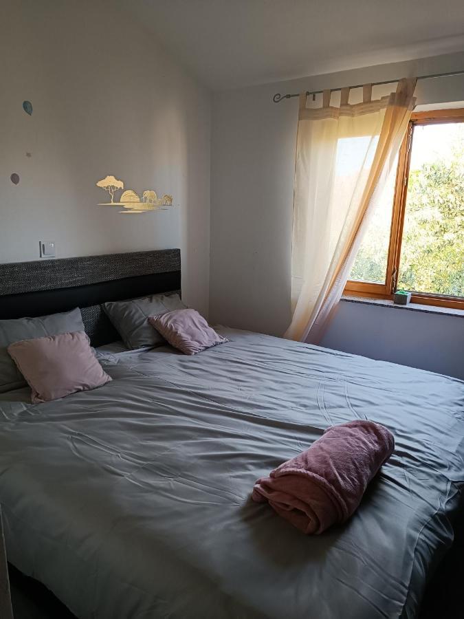 Apartman Brigita Daire Biograd Na Moru Dış mekan fotoğraf